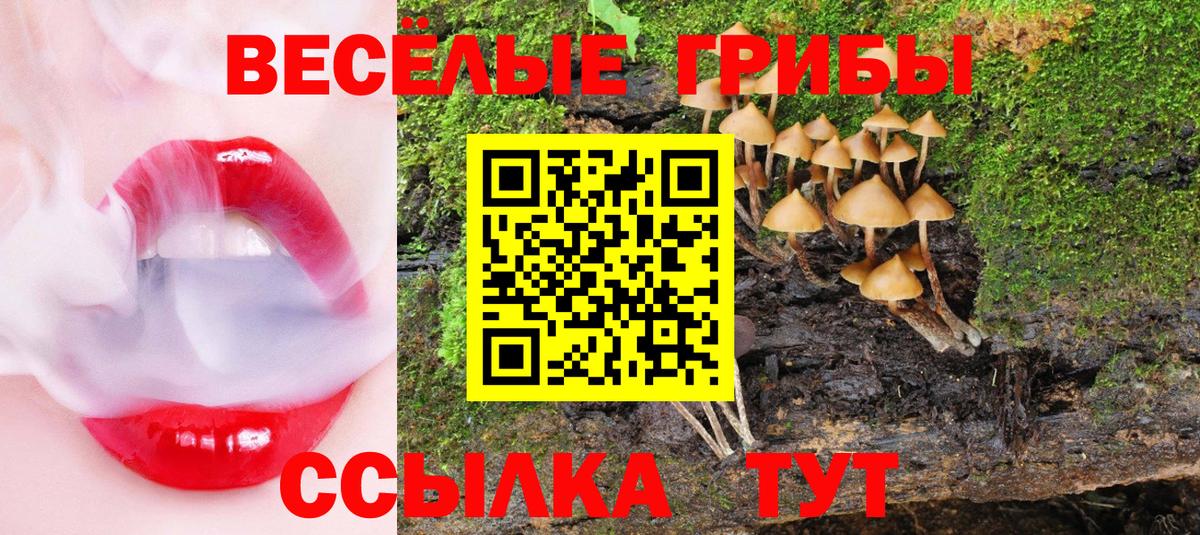 Мыски  Псилоцибиновые грибы GOLDEN TEACHER  Вход с VPN 