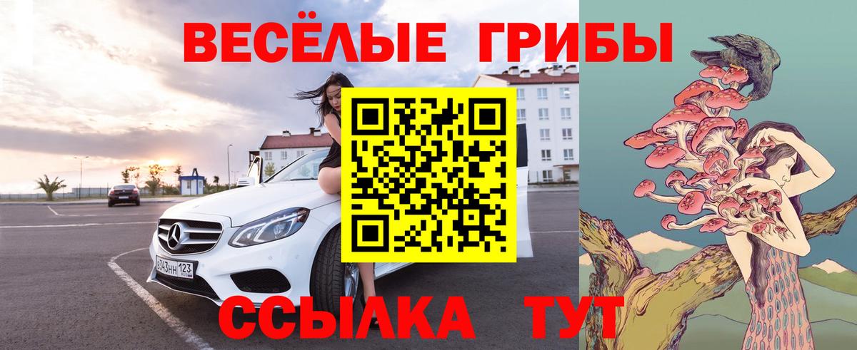 Галлюциногенные грибы Psilocybine cubensis Мыски